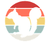 Squirrel Animal