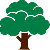 Baum