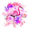 Flamant rose