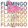 flamant