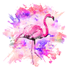 Pink Flamingo