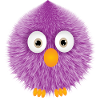 fluffy bird