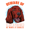 Irish setter