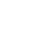 Irish setter