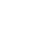 labradoodle
