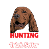 Irish setter