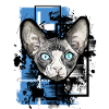 Blue Eyes Sphinx Kitty