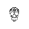 Santa Maria skull