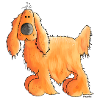 Cocker Spaniel Anglais - Chien