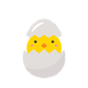 Ami pas omelette