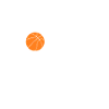 Basketball coach