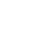 Policeman Police
