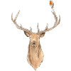 Bird and Deer