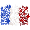France Weed Cannabis Smoking Weed