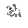Crazy panda