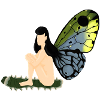 batterfly