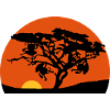 Africa tree sunset monkey