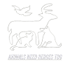veterinary nurse clinic veterinary medicine