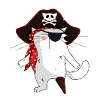 Chat Pirate