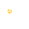 Volleyball Coach