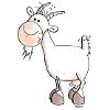 Charming Goat - Goats