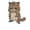 Small Marmot Marmot