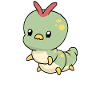 Little cute caterpillar