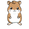 Petit bébé hamster