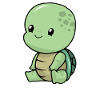 Little baby turtle turtle