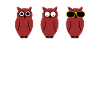 Funny Owl Sunglasses Funny Cool
