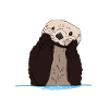 schattig en schattig otter in Otter doos geschenk