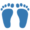 Blue feet
