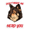 Finnish Lapphund