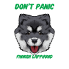 Finnish Lapphund
