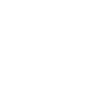 German Wirehaired Pointer
