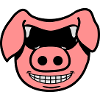 Cool pig