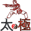 Taichi Fighter