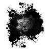 Reine des animaux lionne