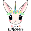Unicornio Unicornio Caballo Dulce Conejo