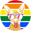 Gay Dog