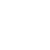 American Eagle Day