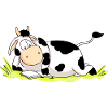 Reading Cow