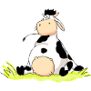 Sitting Cow
