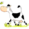 Cow chasing Butterfly