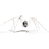 spider, spider, spider,