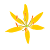 wonderful yellow flower, flower