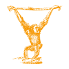Gibbon
