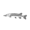 Toller Hecht Angler