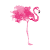 flamant