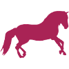 Pferdesilhouette 13